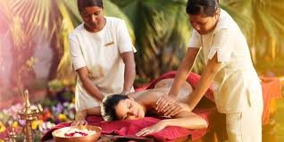 WellnessSpaIndia.com