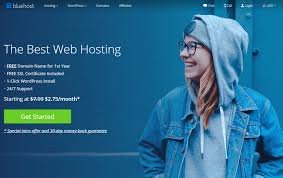 BlueHost.in