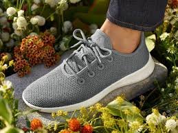 Allbirds.com