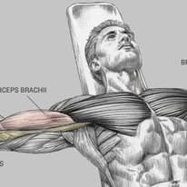 Slim N Shine Gym