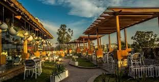 Patio Terrace