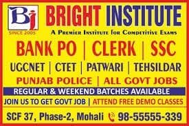 Bright Institute
