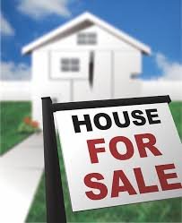 Property Dealer Wave City