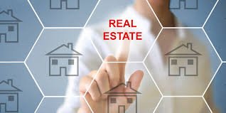 Real Estate Organization