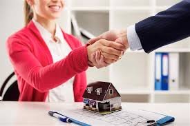 Real Estate Agent