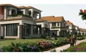 Dreams Realty