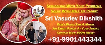 Sri Krishna Astrologer