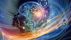 Shreeji Astrologer